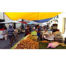YA VIENE NUESTRA FERIA, recordando Trueque 2015 - el color de nuestra feria